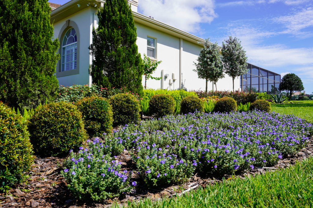 Top Lawn Care Tips for Tampa Bay Homeowners: Maintaining a Lush Lawn&nbsp;Year-Round